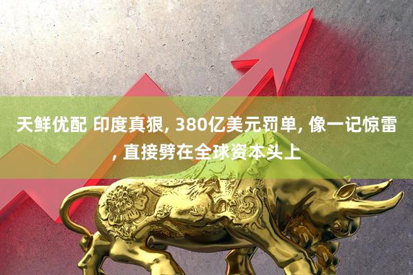 天鲜优配 印度真狠, 380亿美元罚单, 像一记惊雷, 直接劈在全球资本头上