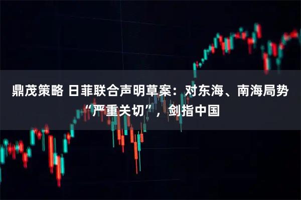 鼎茂策略 日菲联合声明草案：对东海、南海局势“严重关切”，剑指中国